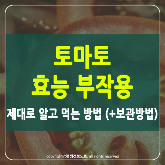 토마토 효능 썸네일