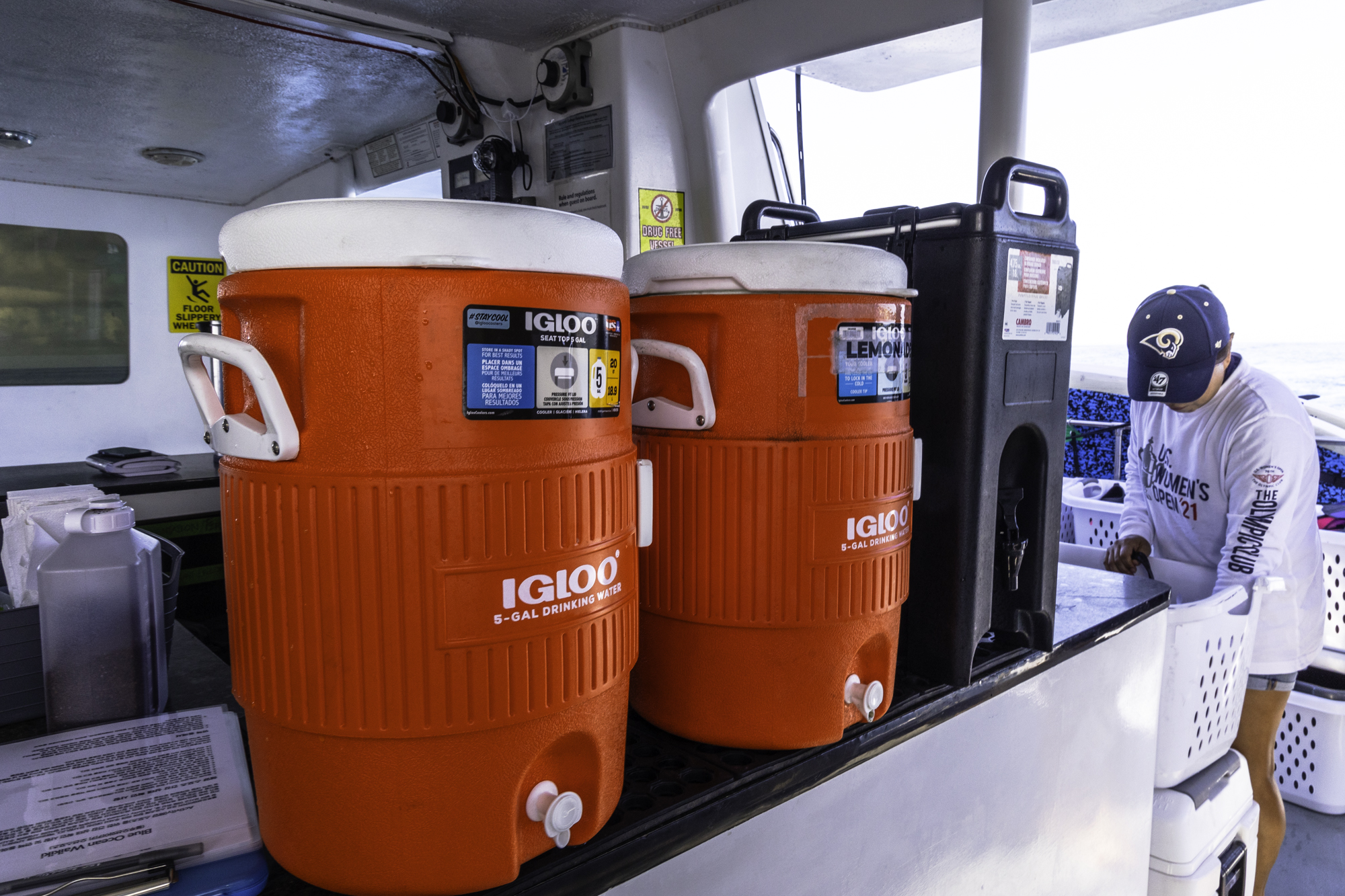 하와이 거북이 스노쿨링