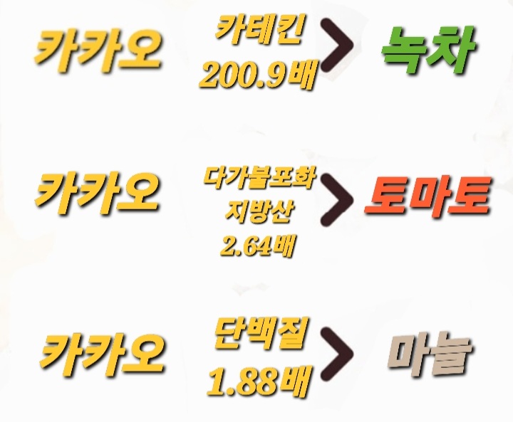 카카오는 다른건강 식품에 비해 월등히 높은 효능을 가진다.