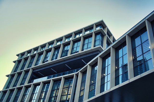 미국 동부와 서부 대학 관련 사진