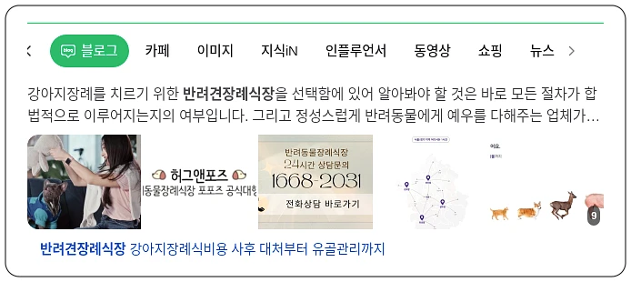 반려견장례식장_1_subsection