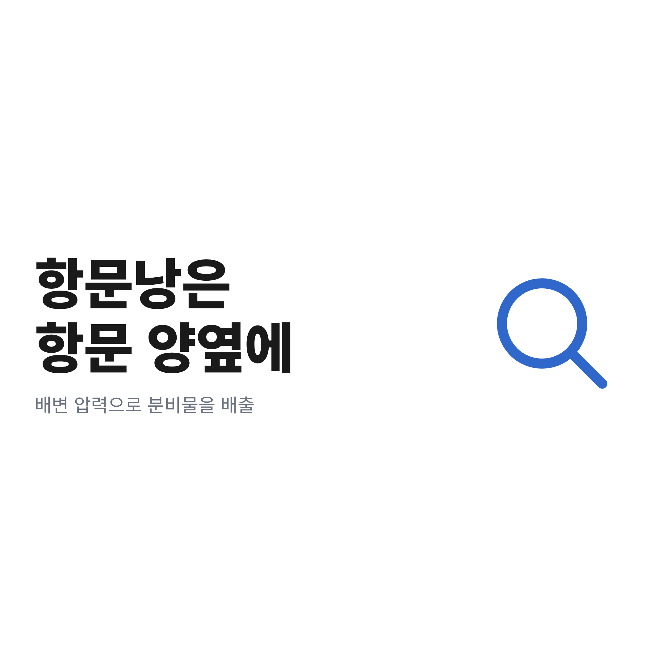항문낭이 항문 양옆 피부밑에 있고 배변 압력으로 분비물이 배출된다는 문구가 담긴 카드