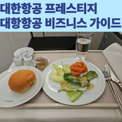 #대한항공비즈니스 #대한항공프레스티지