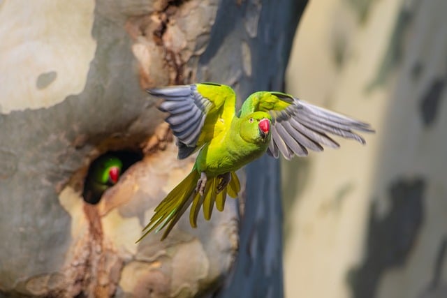 소득 하위 70% 지원금 자격