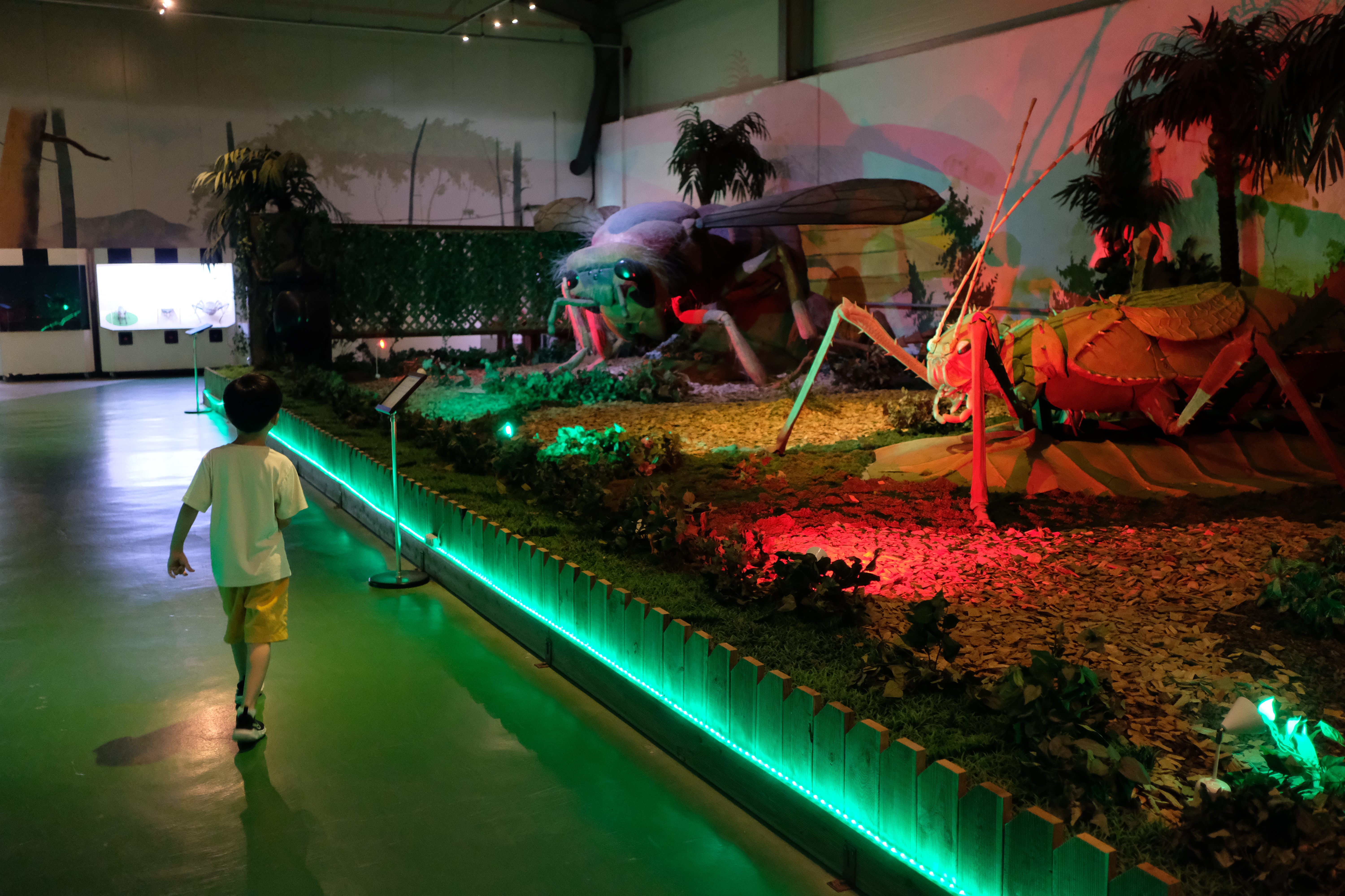 덕평공룡수목원 곤충관 대형 황말벌 등 모형