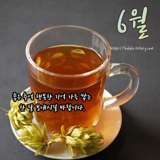 초여름카톡이미지