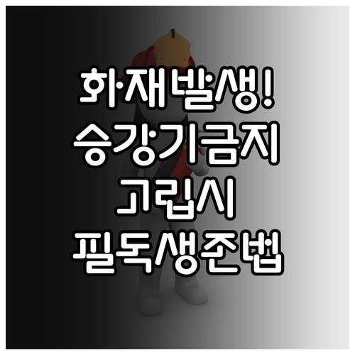 화재 발생 엘리베이터 이용의 치명적 ..