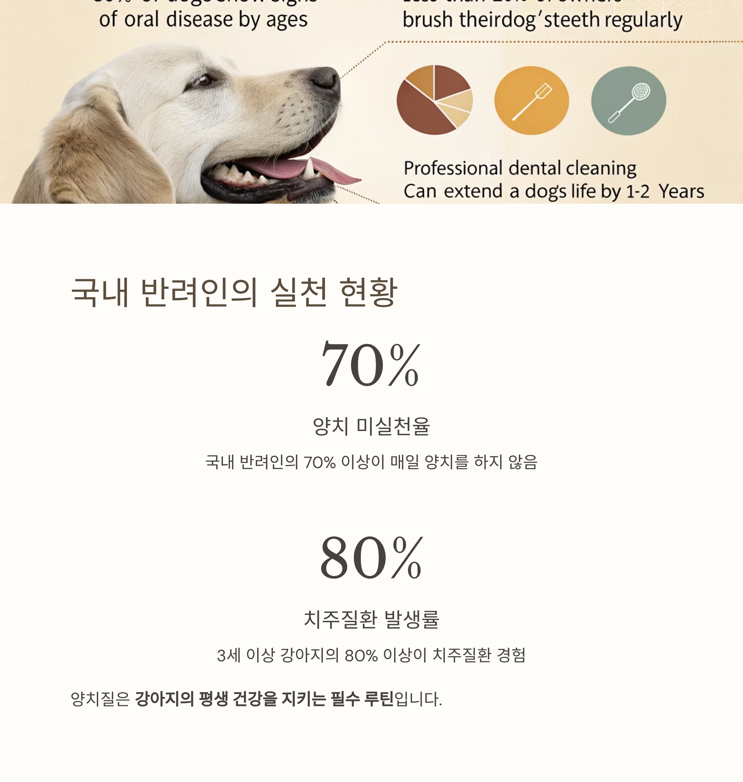 국내 반려인의 실천 형황