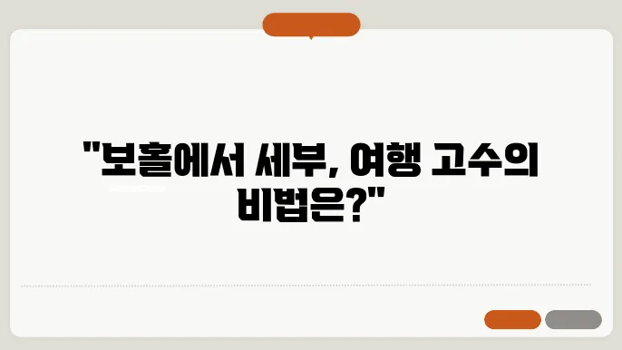 보홀에서 세부 가는법 2가지는? (페리, 비행기)
