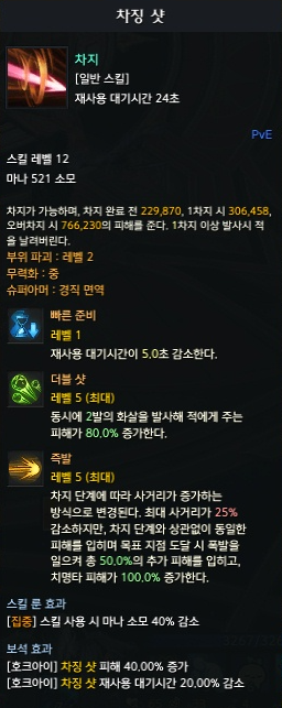 차징 샷