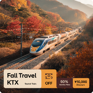 코레일 50%할인 당일치기 가을(단풍)여행 이미지