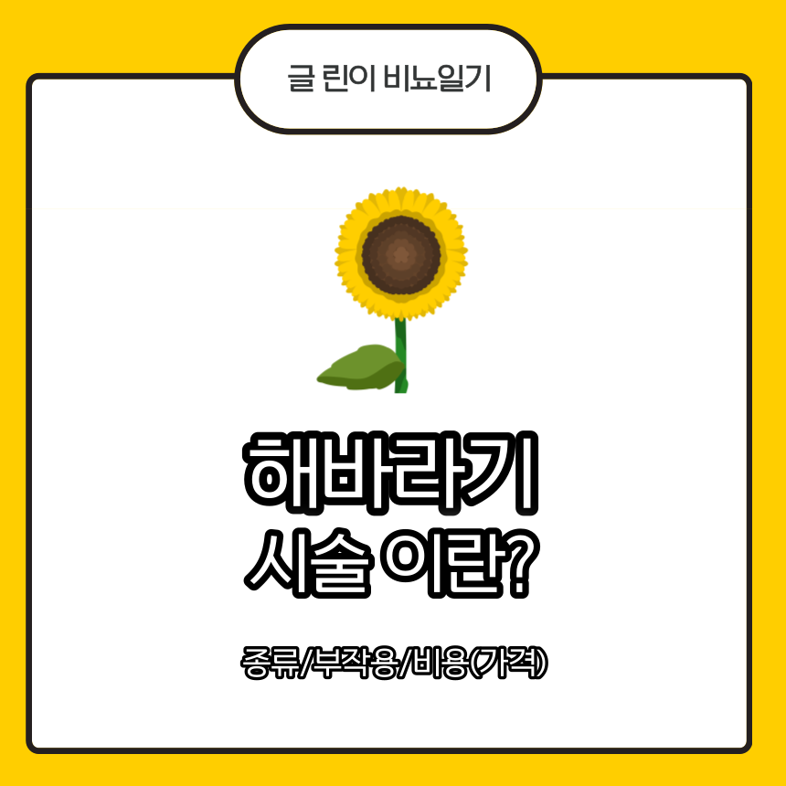 해바라기 시술
