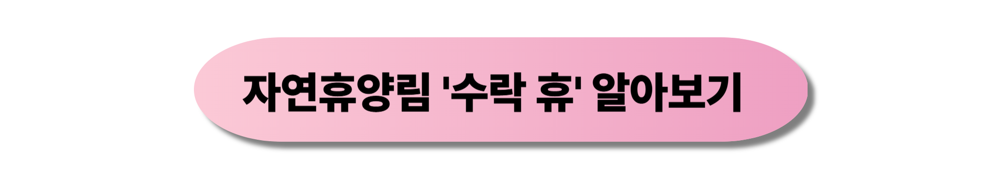 수락 휴