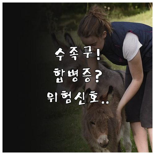 수족구 합병증 증상과 위험 신호 총정..