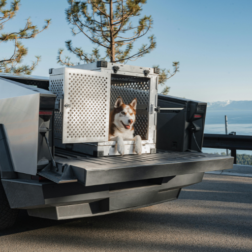 사이버트럭 후기 가격 종류 장점 국내 출시 예정