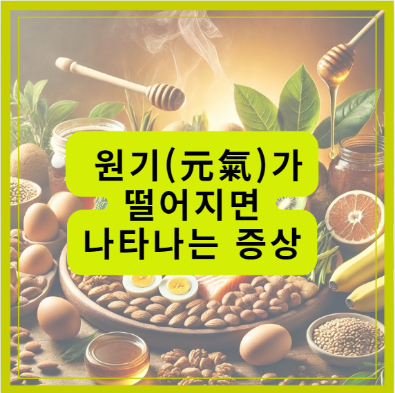 원기가 떨어지면 나타나는 증상들과 원기 회복 음식들