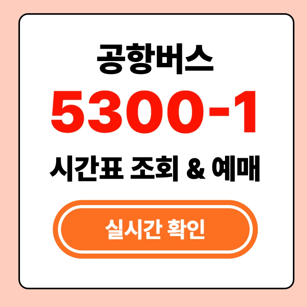 인천공항 5300-1 실시간 시간표 확인 및 예매방법