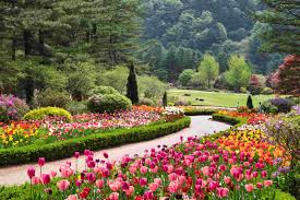 아침고요수목원 봄꽃 페스타