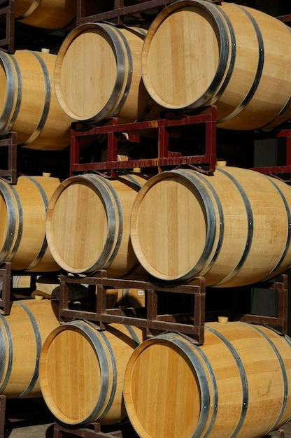 모나스트렐(Monastrell)