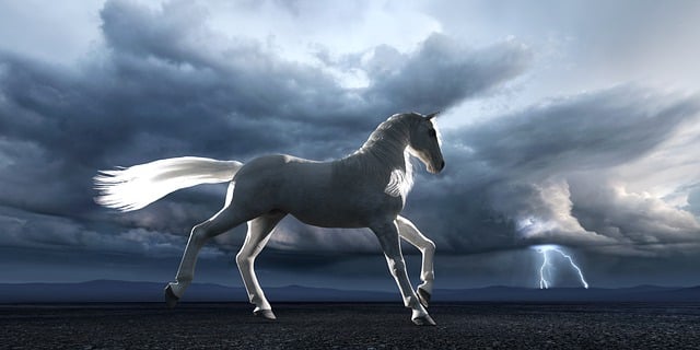 달리는 하얀 말