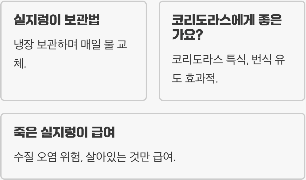 실지렁이 효능, 물고기 발색과 산란에 최고의 특식인 이유
