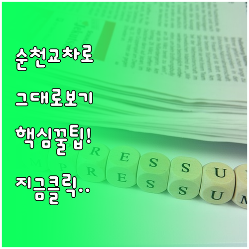 순천 교차로 신문 그대로보기 서비스 ..