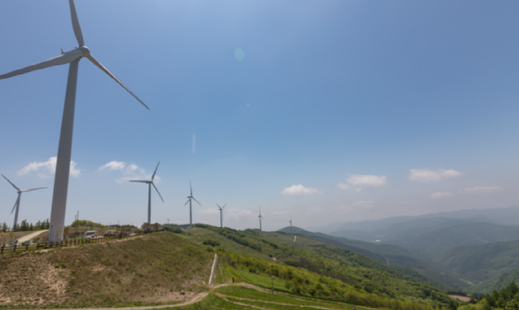 청옥산 육백마지기