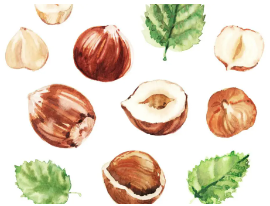 빈혈 예방에 추천 '헤이즐넛'