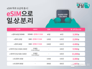 E심 알뜰폰