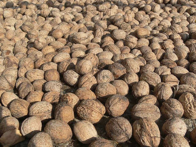 오메가3-6