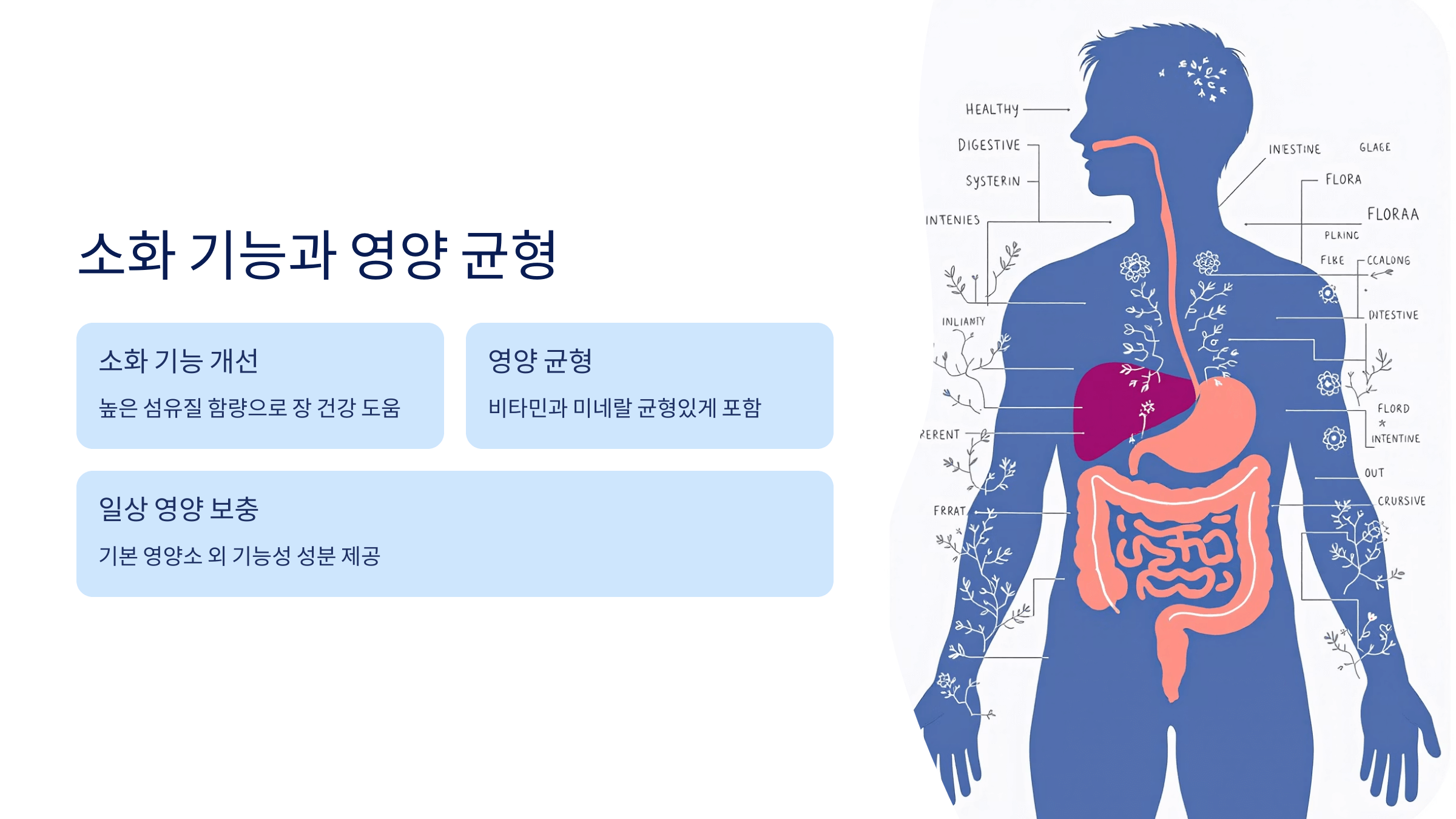 바나듐 쌀 사진입니다.