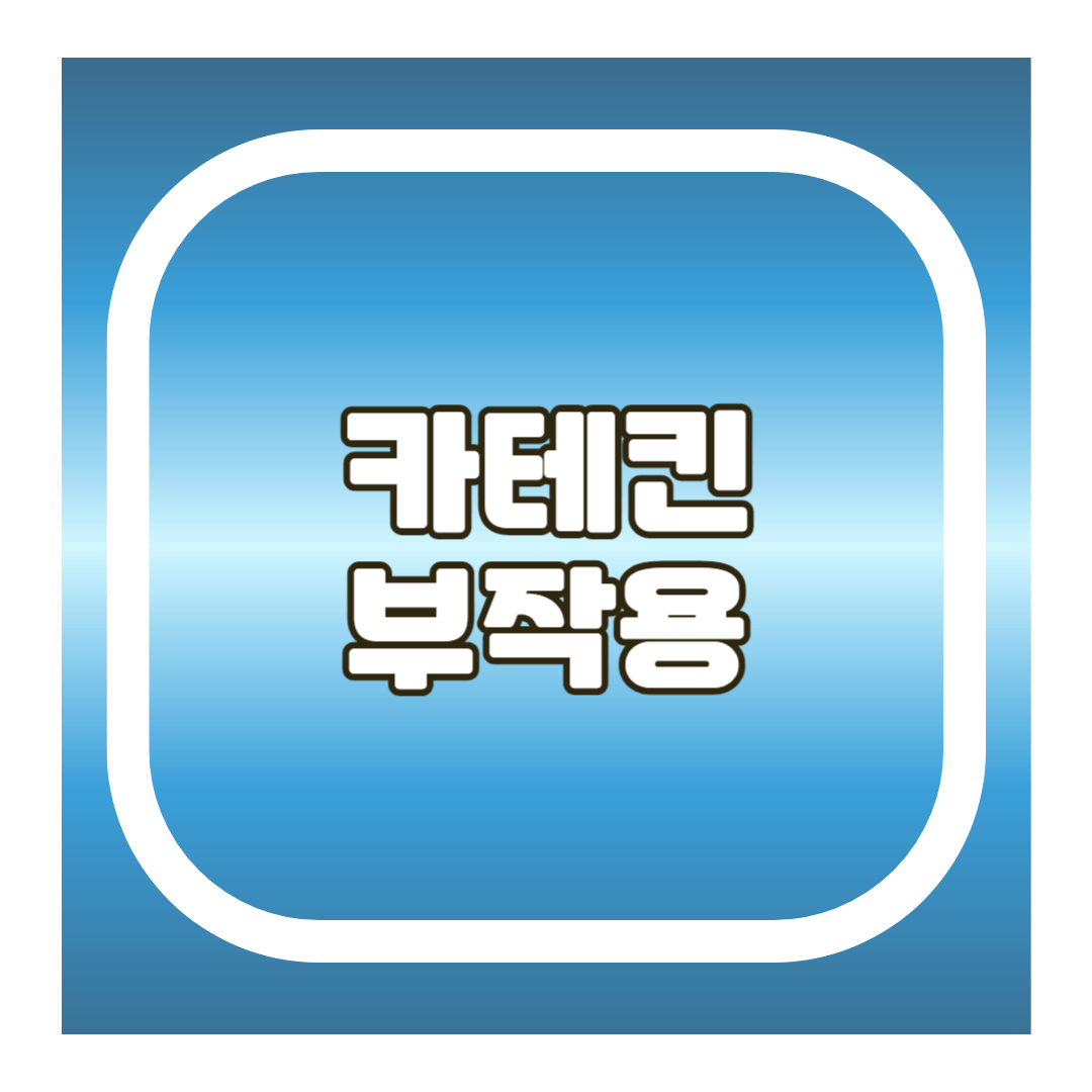 카테킨 부작용