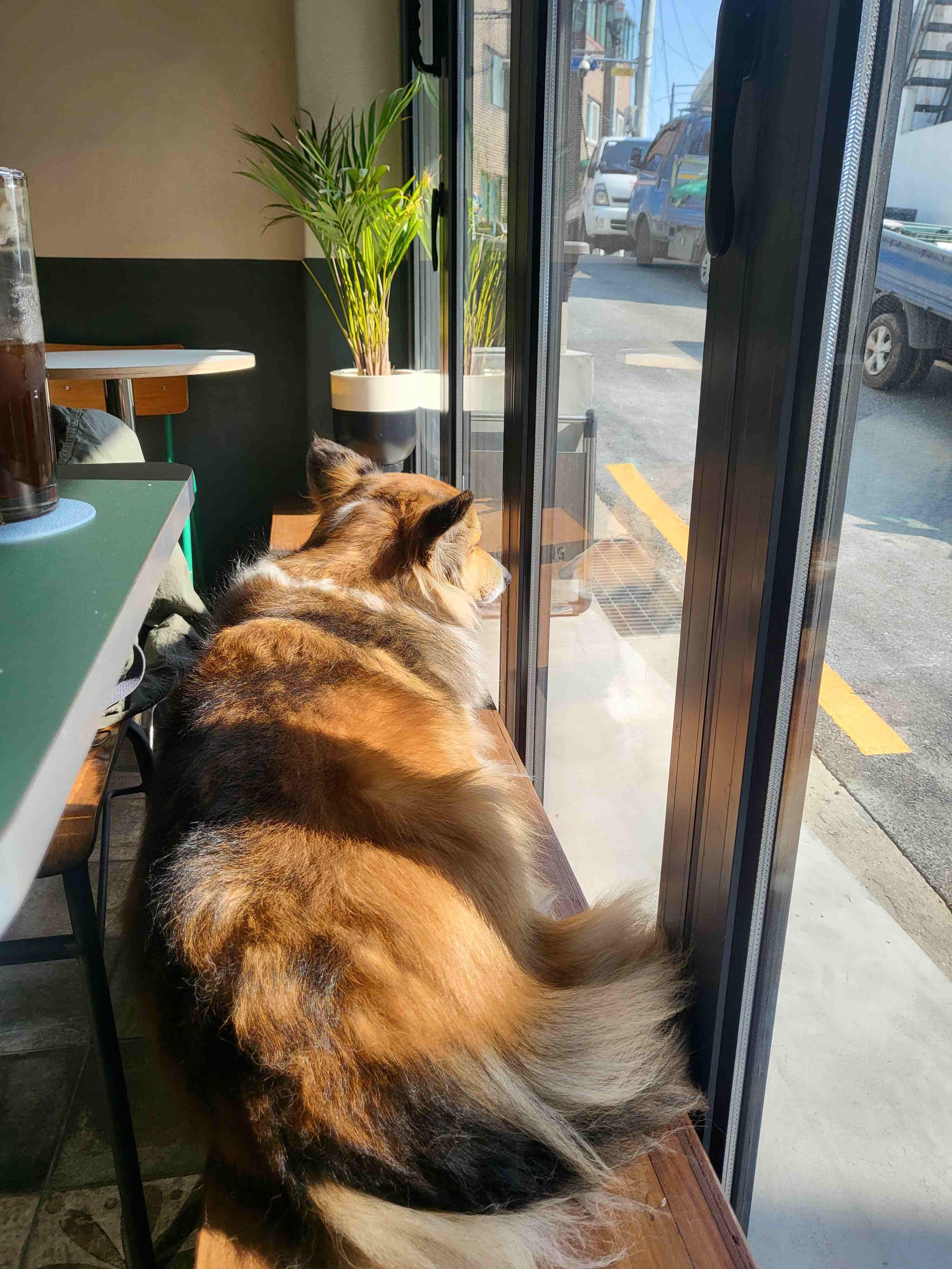 루이
