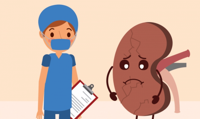 신장(콩팥) 이상 시 나타나는 주요 증상 5가지