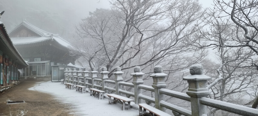 양산 미타암 : 천년 고찰의 역사와 자연, 수행 공간으로서의 가치