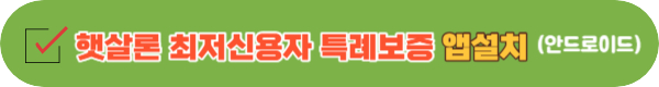 최저신용 특례보증