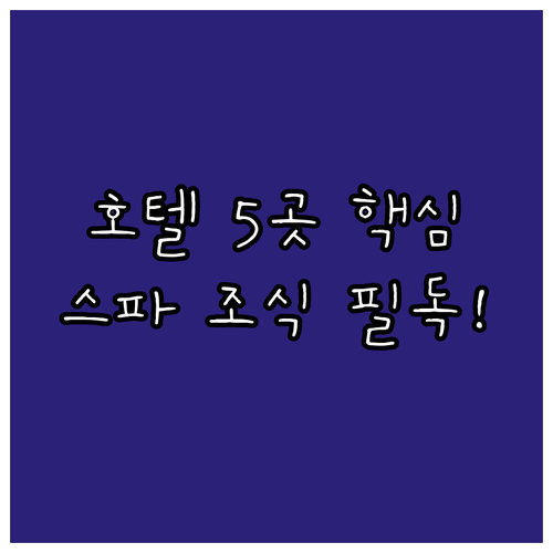 리가 인기 호텔 5곳 완벽 비교 구시..