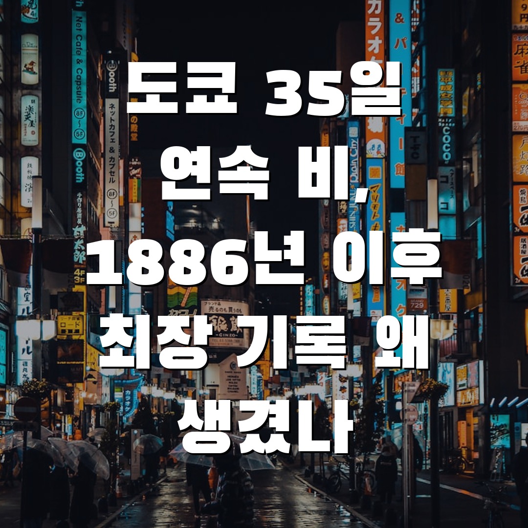도쿄 35일 연속비