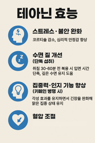 테아닌 효능 인포그래픽