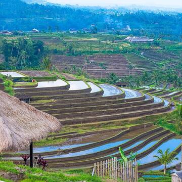 유네스코 세계유산 발리의 문화경관