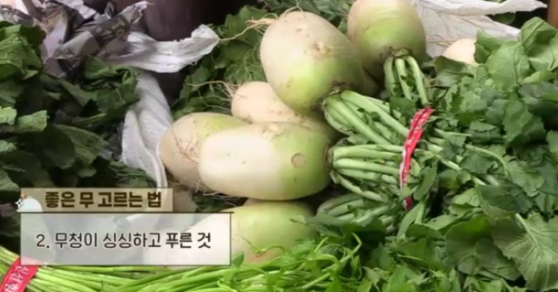 좋은 무 고르는 법
