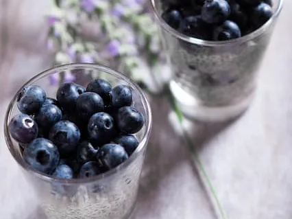 다이어트 식단 블루베리