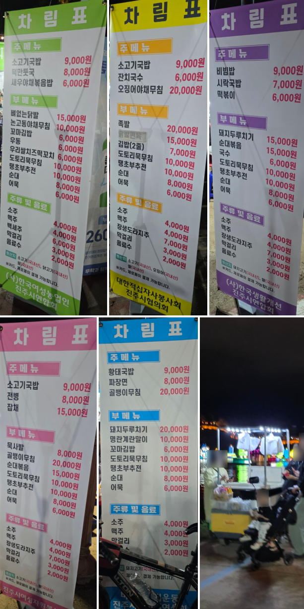 진주 남강 유등축제 아이와 방문 후기 : 남가람공원/진주성