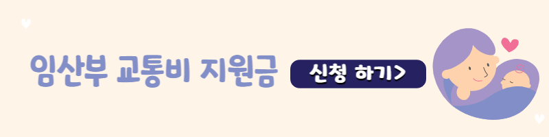 임산부교통비지원금