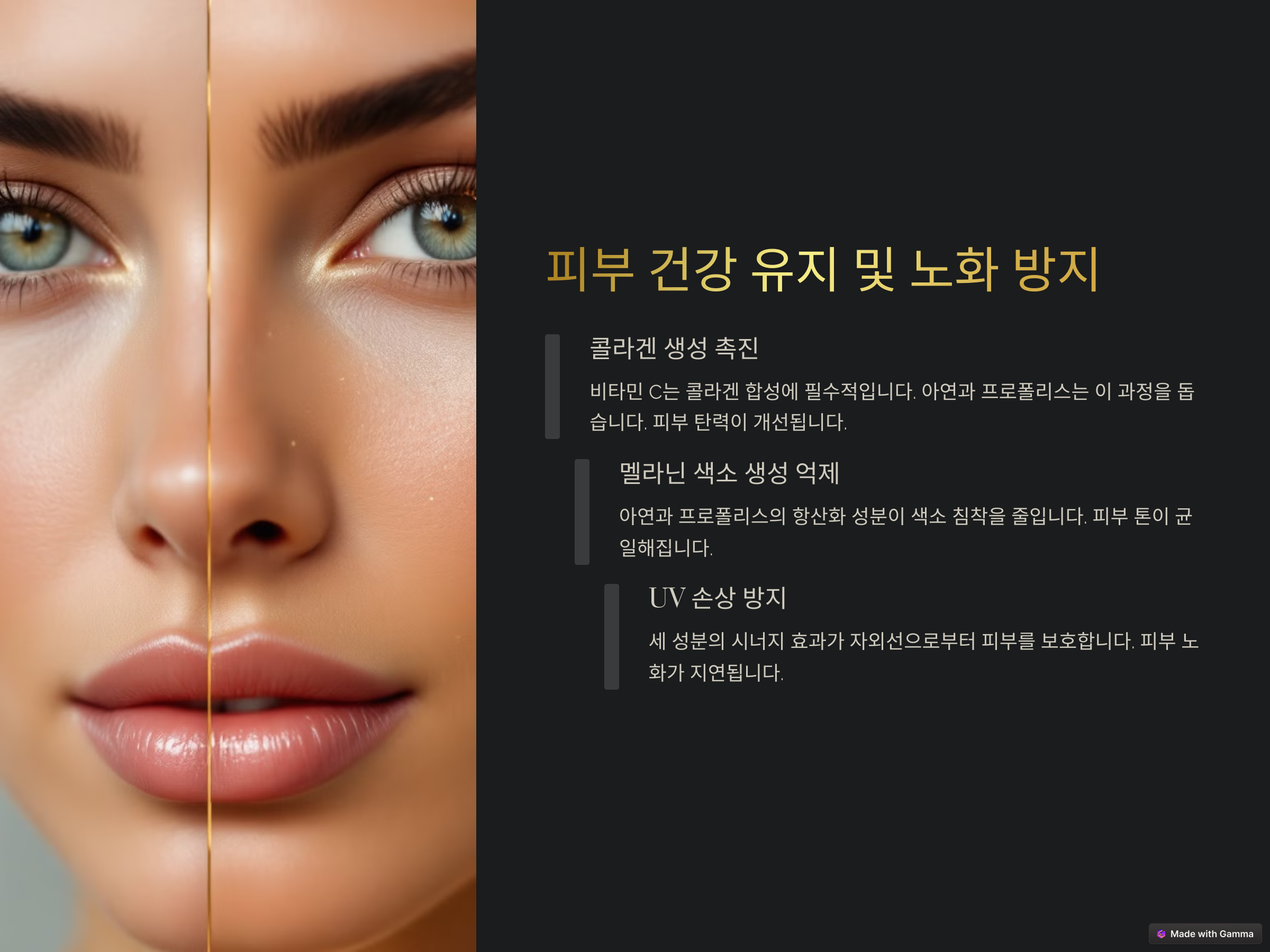 프로폴리스 아연 C 효능 5가지 4