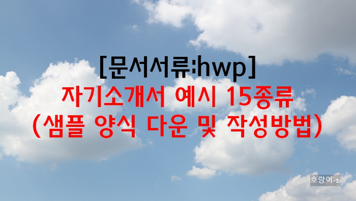 자기소개서 예시 15종류 (샘플 양식 다운 및 작성방법)