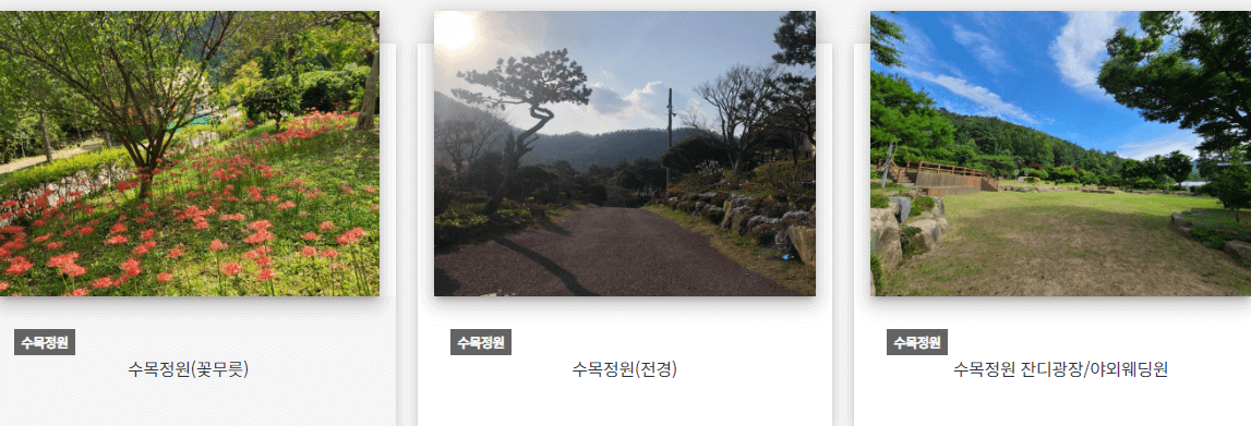 장흥 하늘빛수목정원 튤립축제