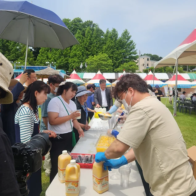 [6월 축제]2025 여주 금사참외축제❘공연 일정, 참여 프로그램 정리