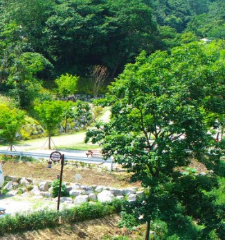 서운산 자연휴양림 숲나들e 국내 여행지 추천 관련사진