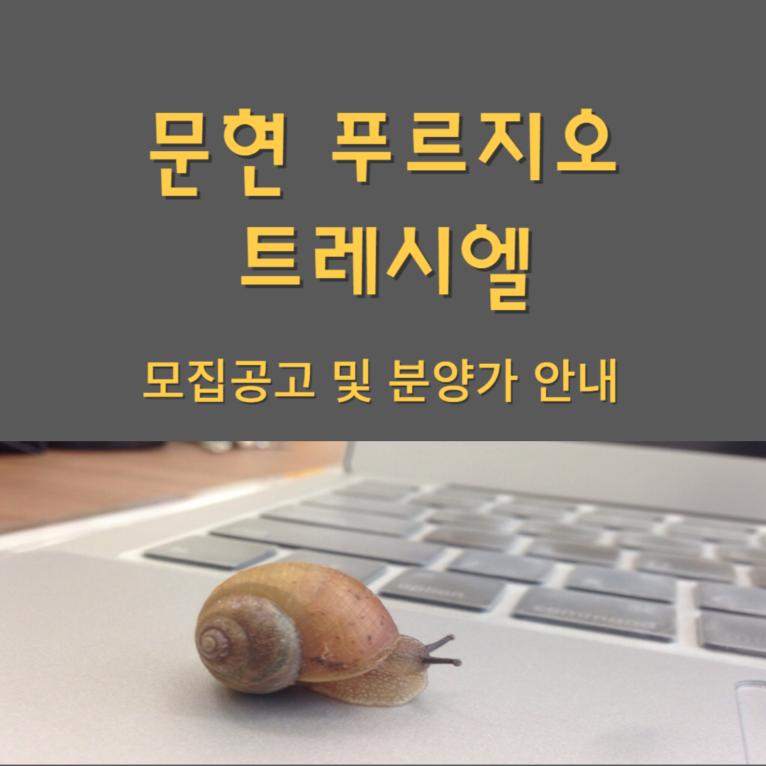 문현 푸르지오 트레시엘 모집공고